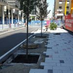 Precast concrete paver and tree installation on Queen Street